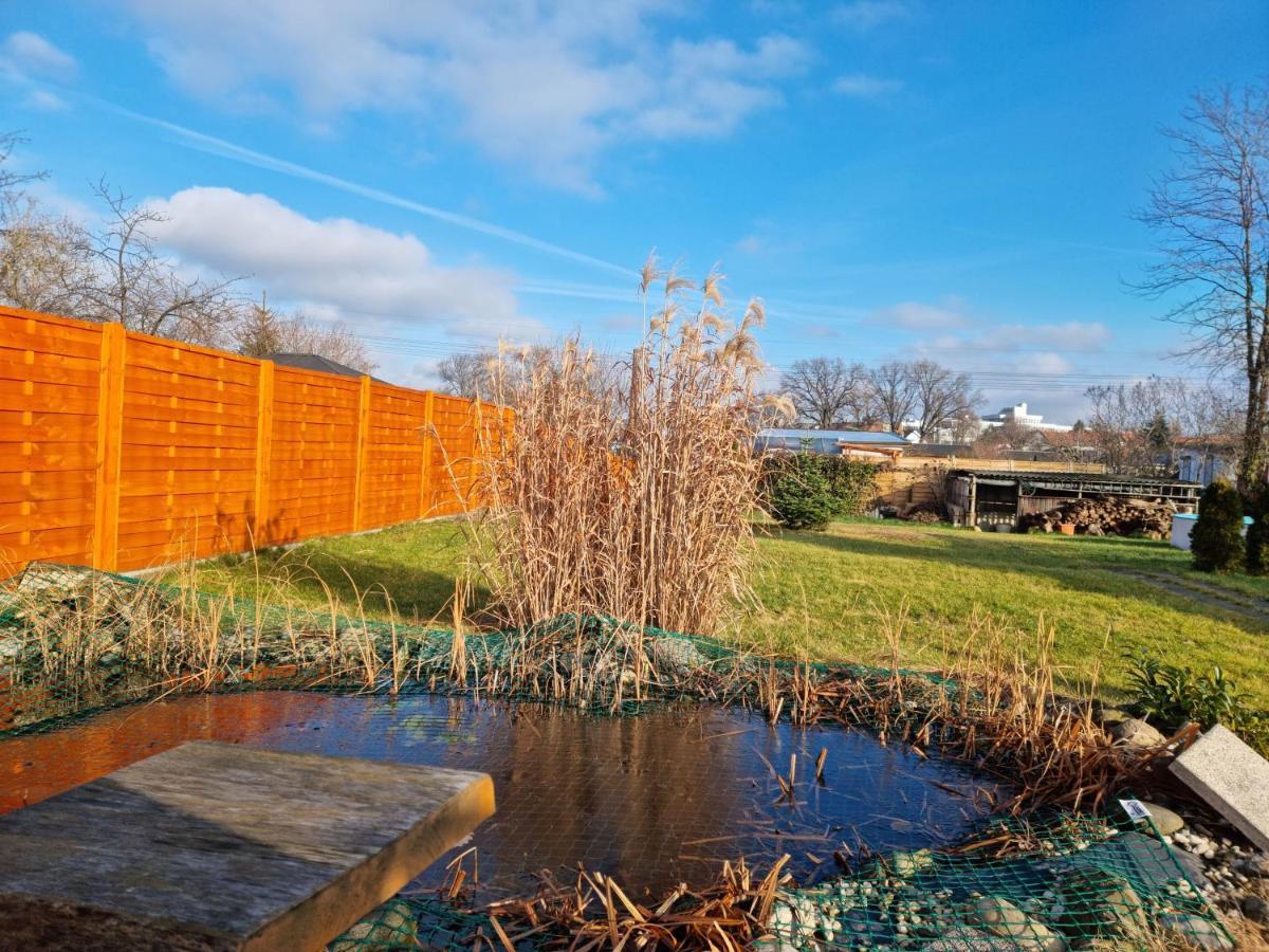 Liebevoll Eingerichtetes Haus Mit Grossem Garten In Dresden - Telefonnummer Und Video Unter Www Fhvn De מראה חיצוני תמונה